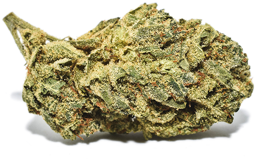 Glue Png (600x600), Png Download