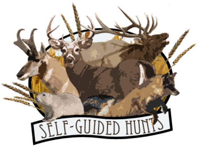Deer And Hunting Logo Png (640x480), Png Download