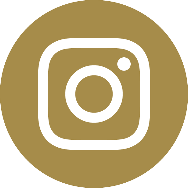 Download Hd Instagram Transparent Png Image Nicepng Com
