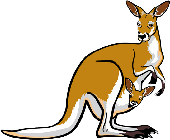 Kangaroo Png Photo - Joey Female Red Kangaroo (650x508), Png Download