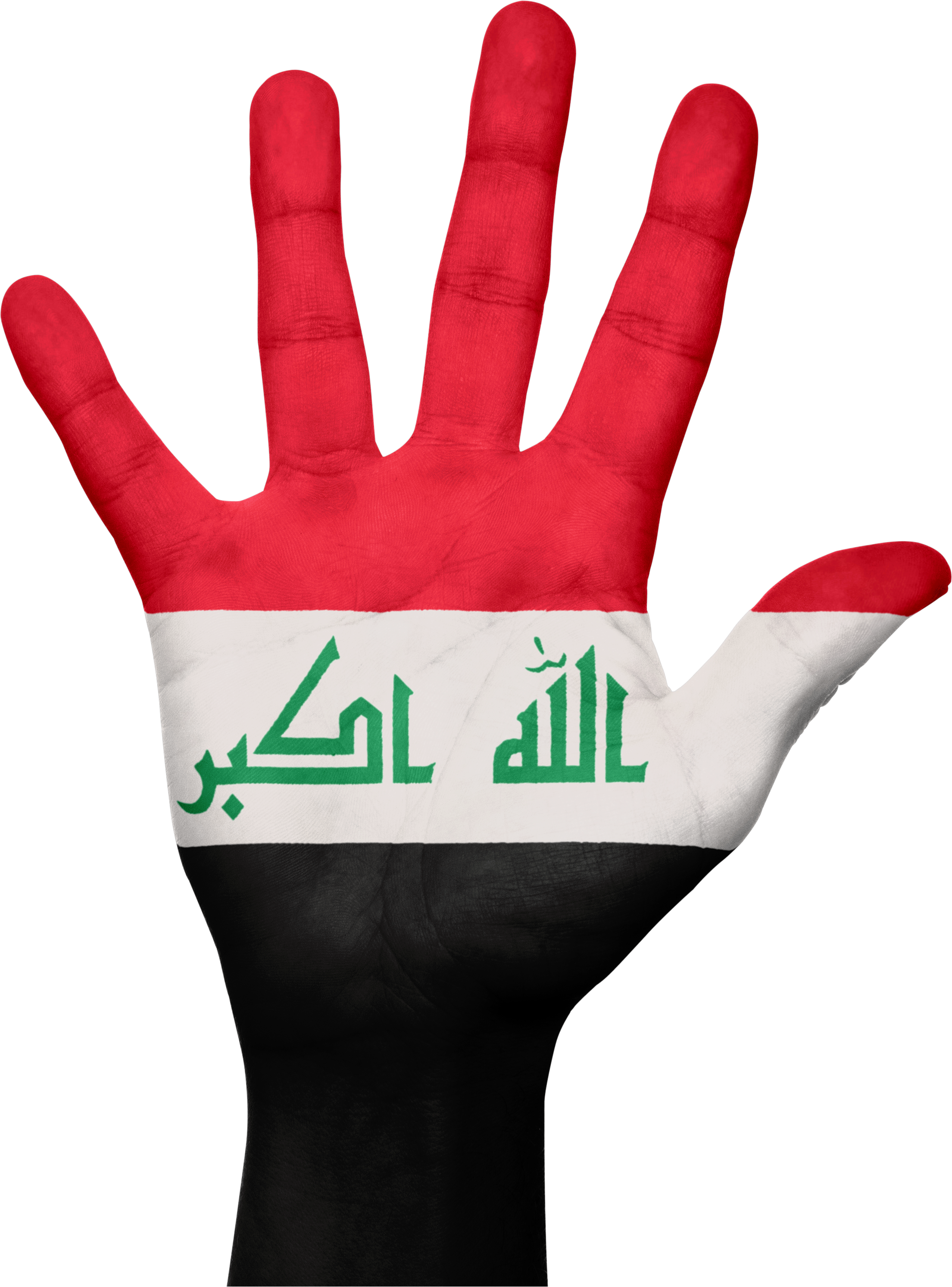 Iraq Flag Hand Symbol National 643896 - Iraq Flag (2209x2987), Png Download