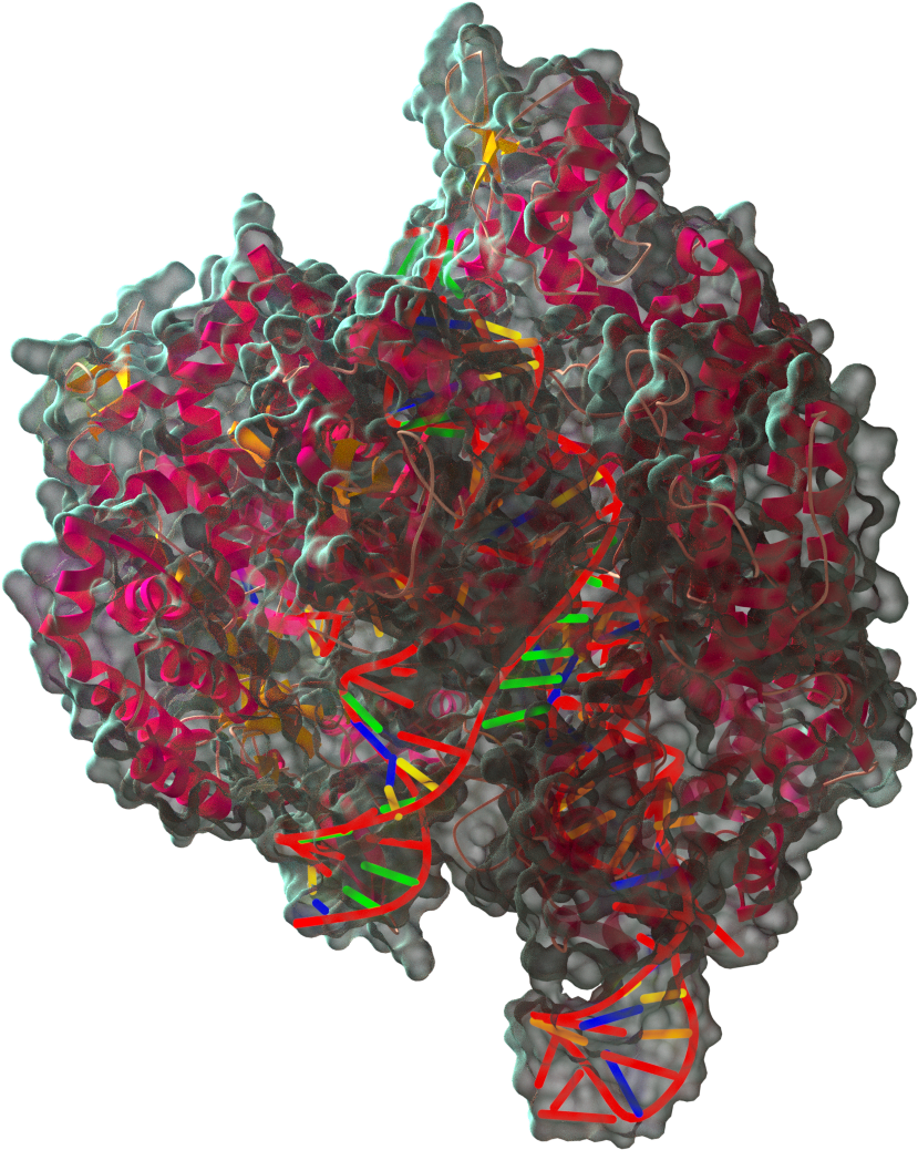 Transparent Background - Illustration (1920x1080), Png Download