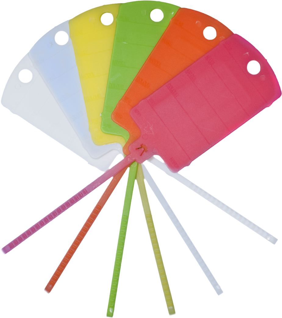 Key Management Tags - Triangle (1000x1131), Png Download