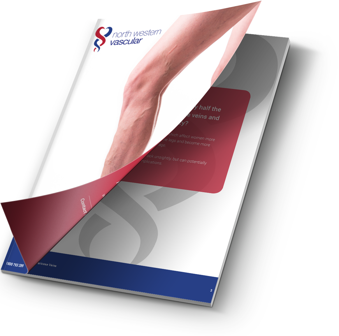 Download The (1163x1153), Png Download