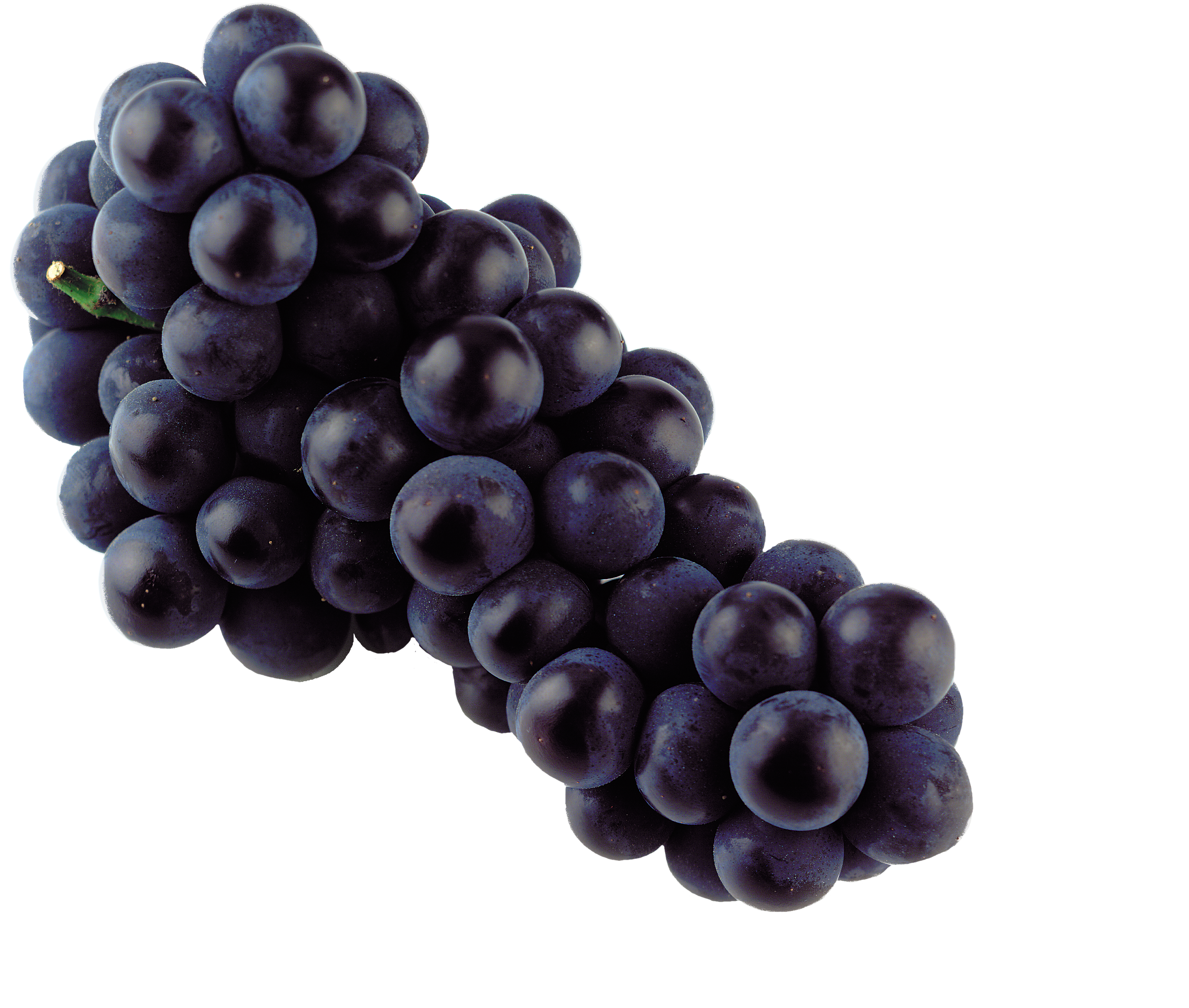 Grapes Blue - Png Muscadine Grapes (4875x3769), Png Download