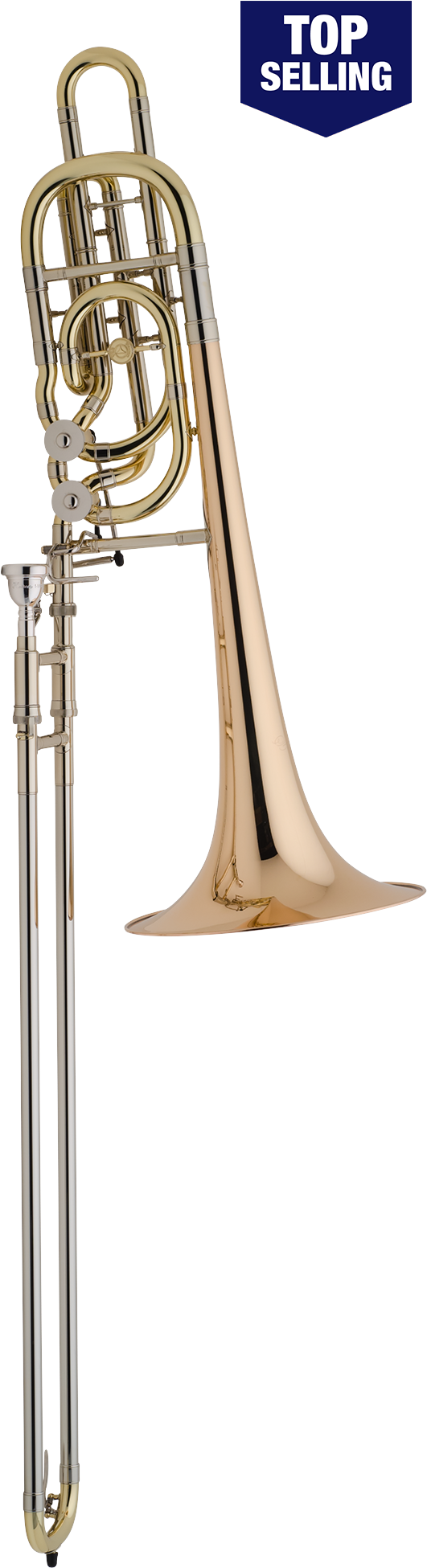 600 X 2000 1 - Types Of Trombone (600x2000), Png Download