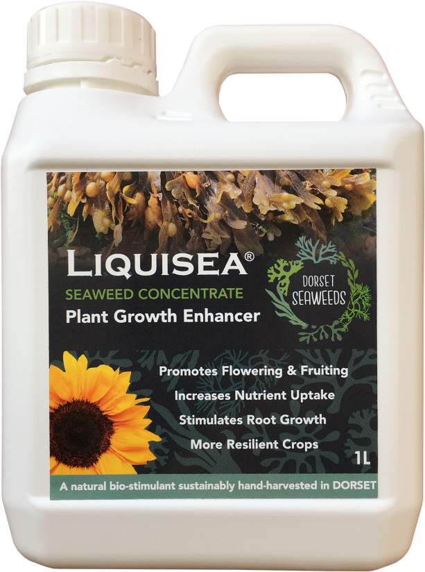 Liquisea Seaweed Concentrate - Mulch (640x846), Png Download