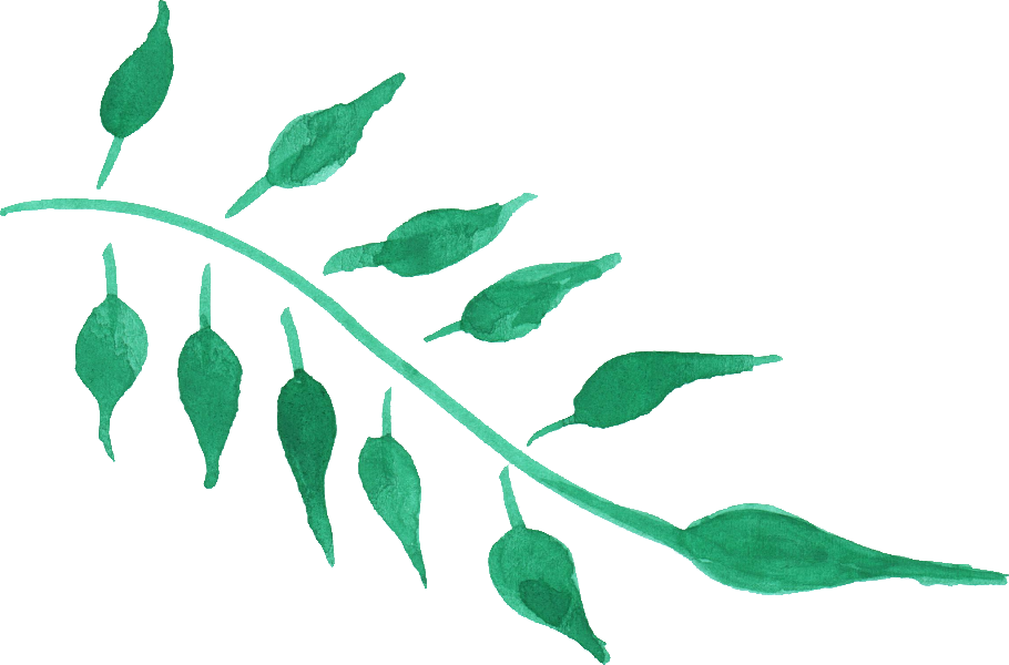 Free Download - Free Green Leaf Watercolor Png (910x600), Png Download
