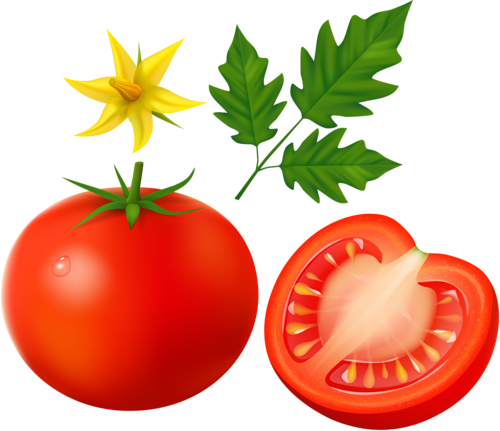 Visit - Tomato (500x431), Png Download