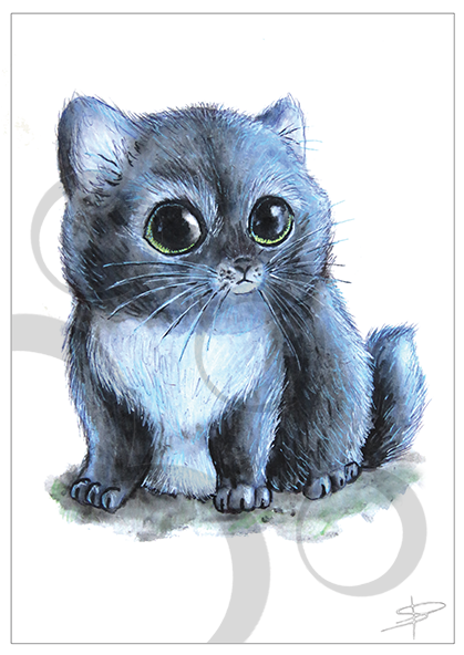 Welcome To The Paw Prints Online Store - Korat (591x591), Png Download