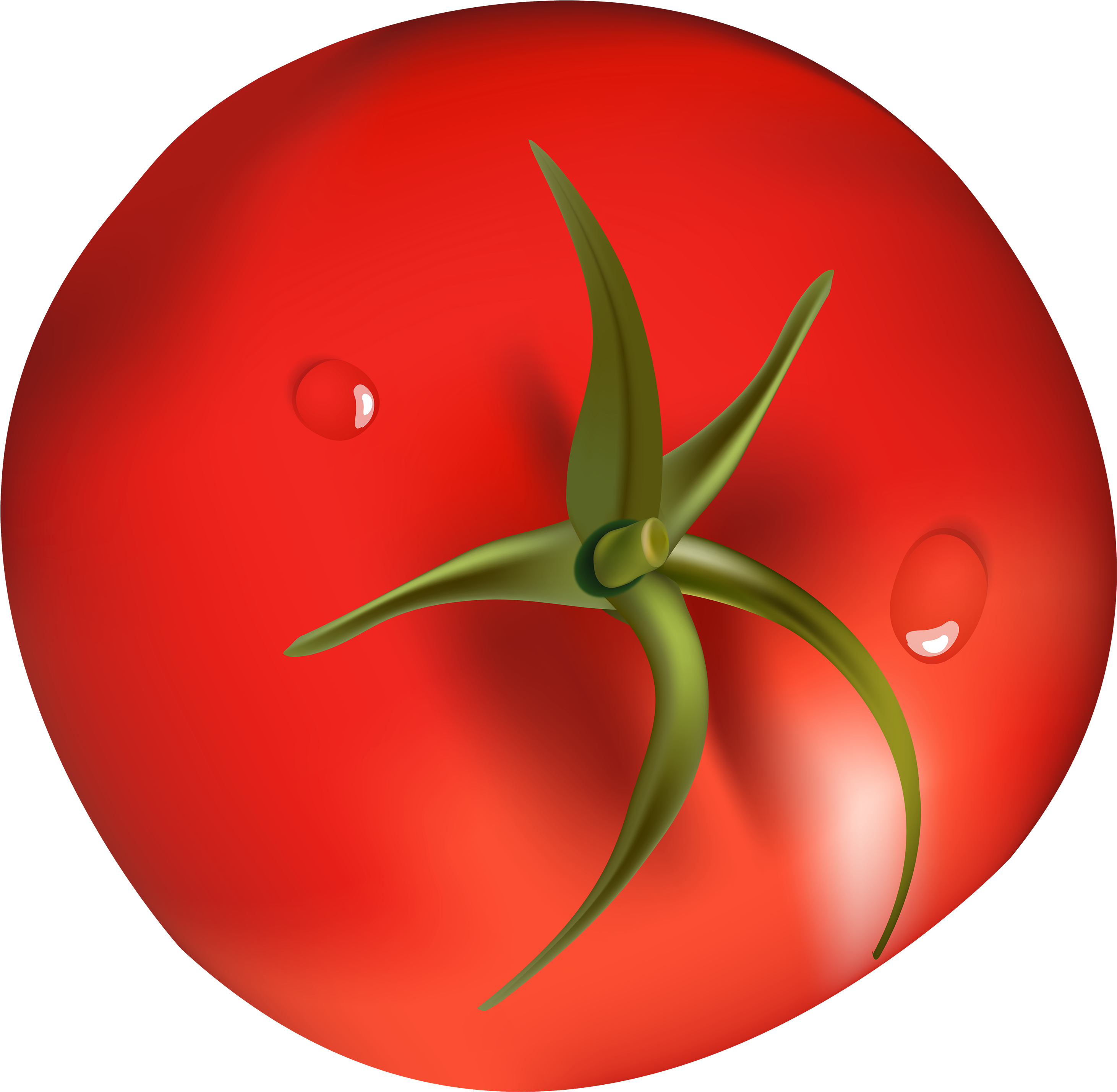 Png Best Web - Tomato Png (3000x2933), Png Download