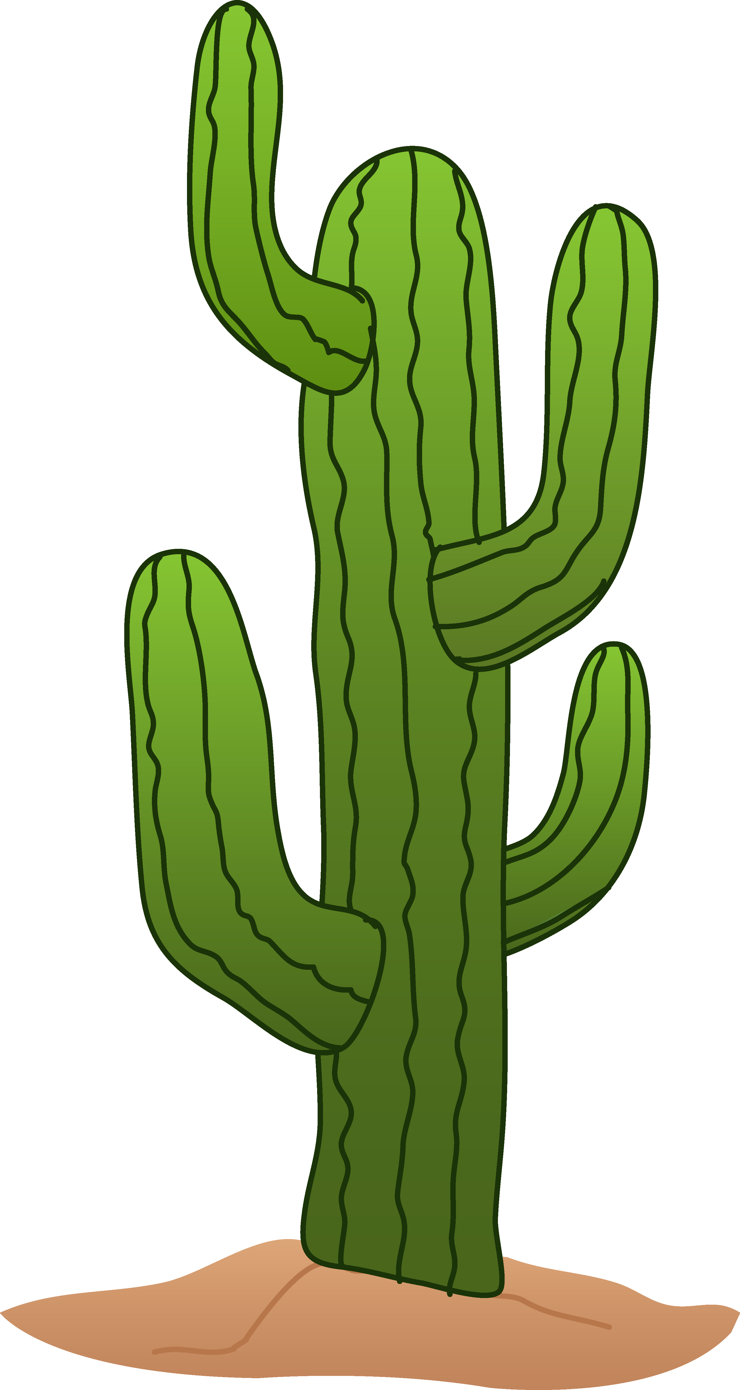 Cactus Clipart Png - Cactus Clipart (2889x5425), Png Download