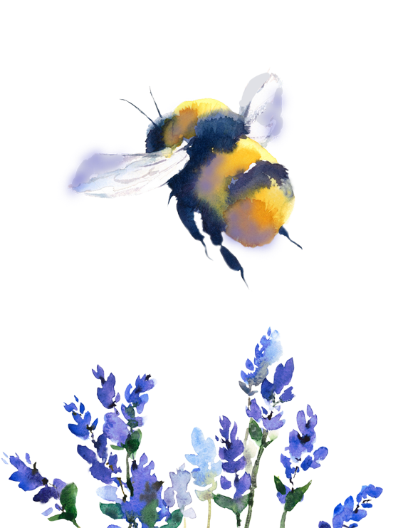 Pages - Bumble Bee Watercolor (600x740), Png Download