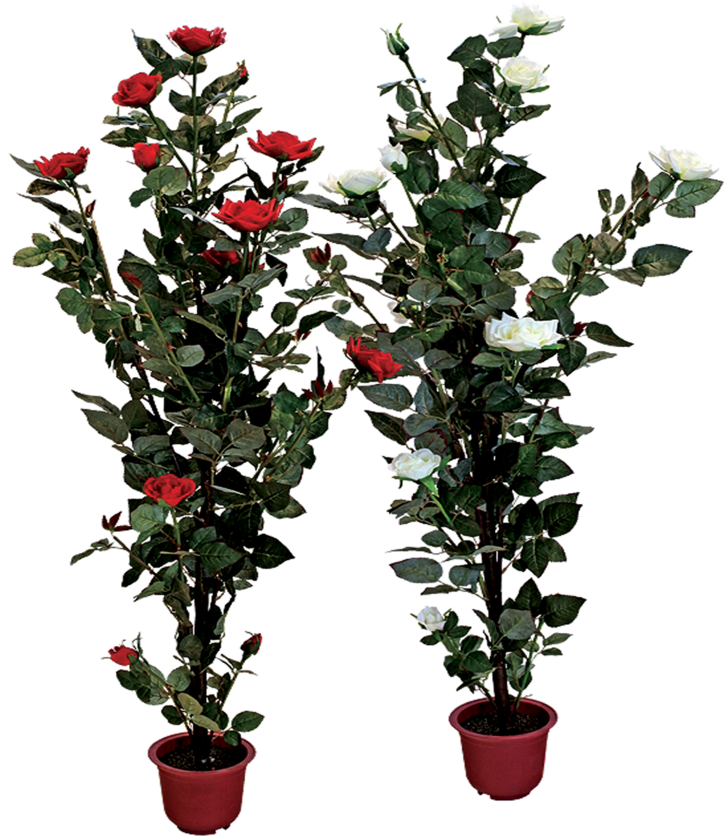 Rose Bush Clipart Shrub Plan - Transparent Flower Pot Png (1024x1024), Png Download
