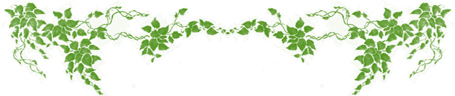 06, August 15, 2016 - Cartoon Vines Png (970x209), Png Download