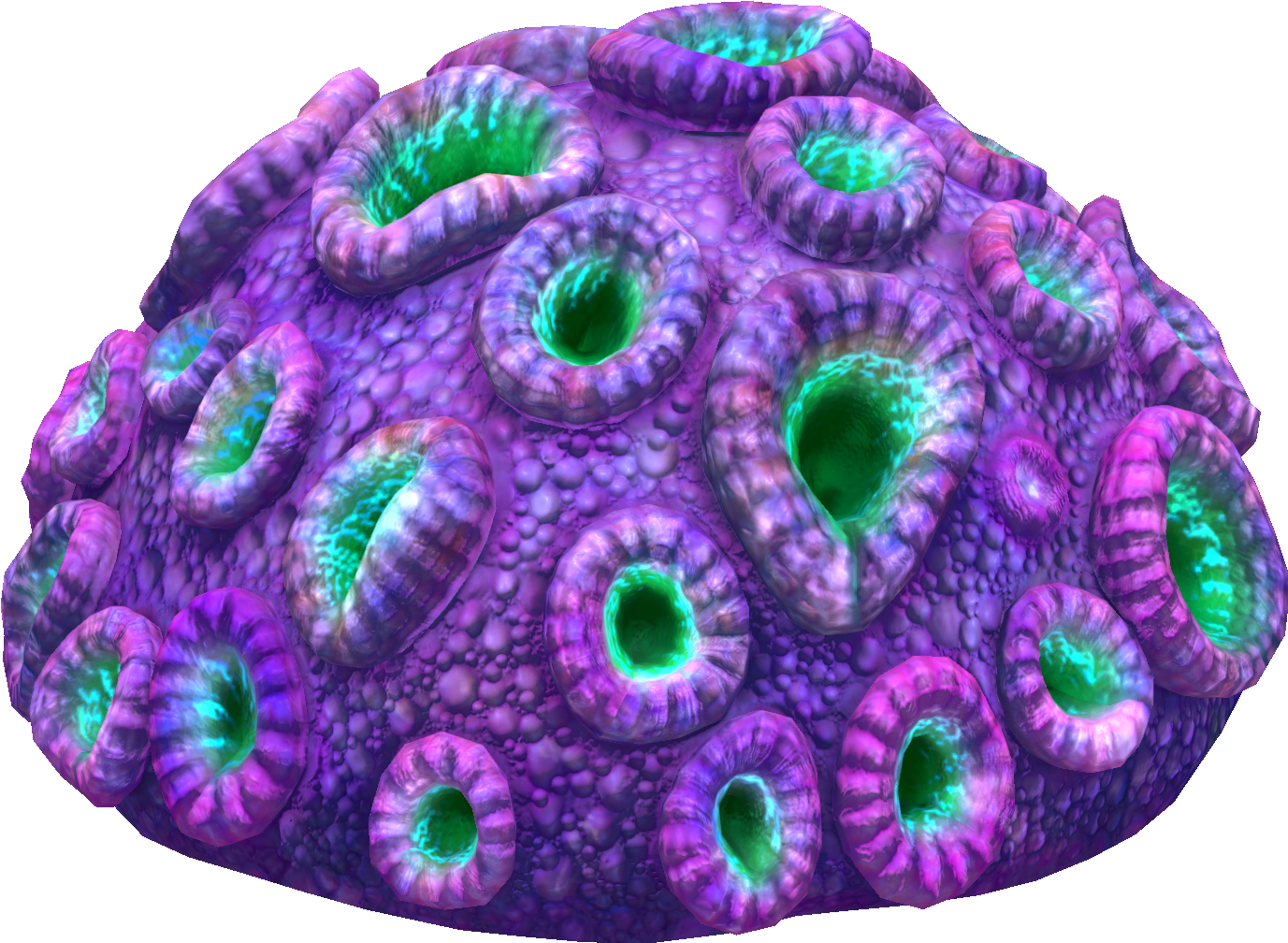 Purple Brain Coral Fauna (1500x1080), Png Download