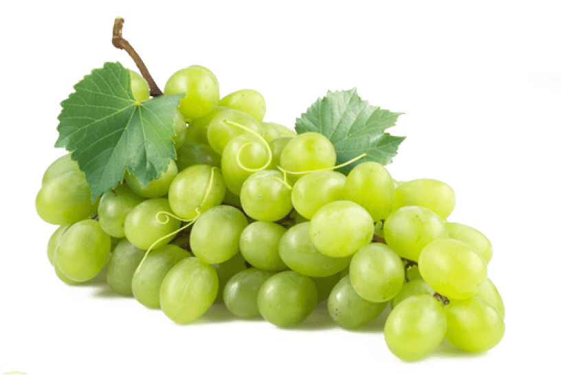 Free Png Green Grapes Png Png Images Transparent - Cathys Concepts Personalized 21 Oz. Stemless Wine Glass (850x621), Png Download
