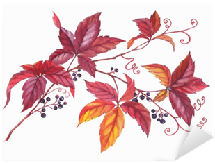 Hand Drawn Watercolor Colorful And Vibrant Branch Of - Leaf (400x400), Png Download