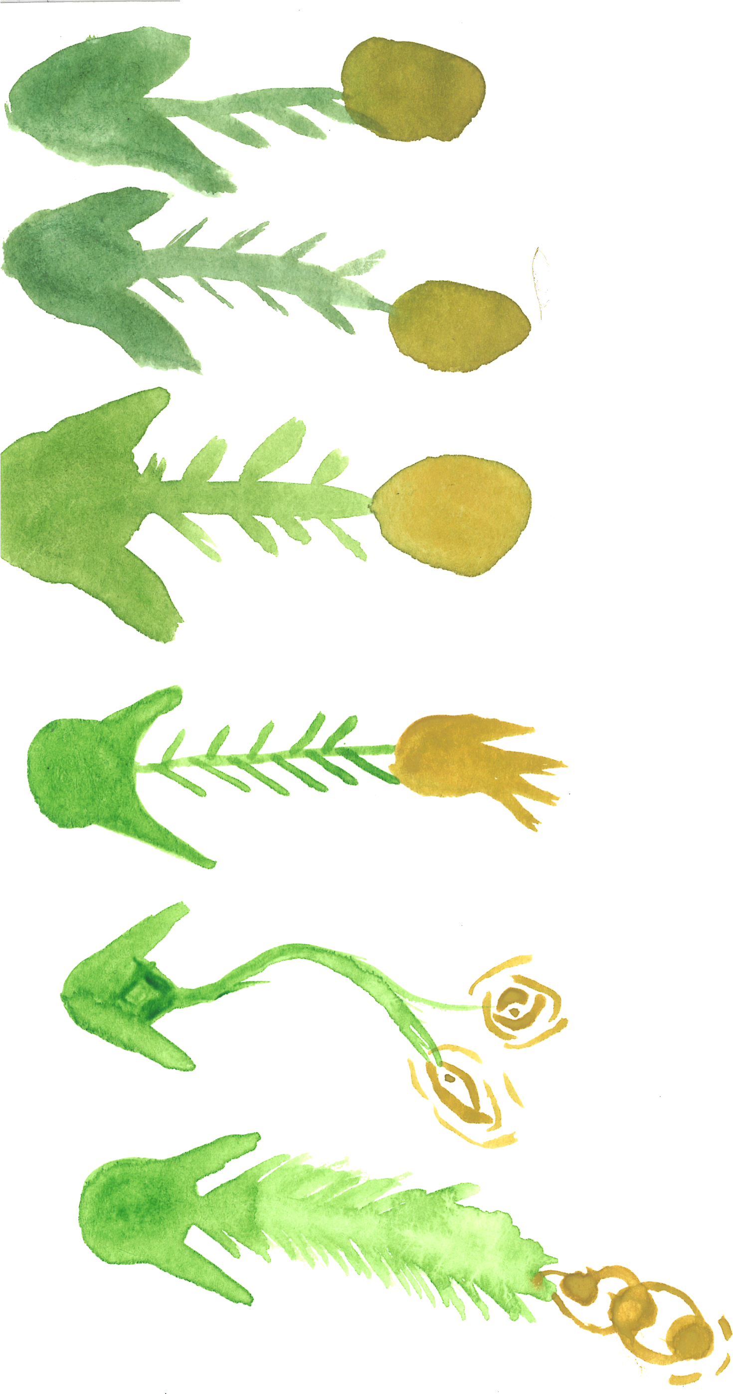 Watercolor Weirdness- All Images Are Free For Personal - Frog (1775x2945), Png Download