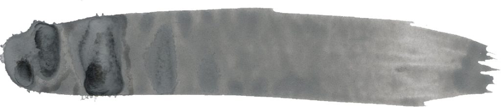 Png File Size - Leather (1024x220), Png Download