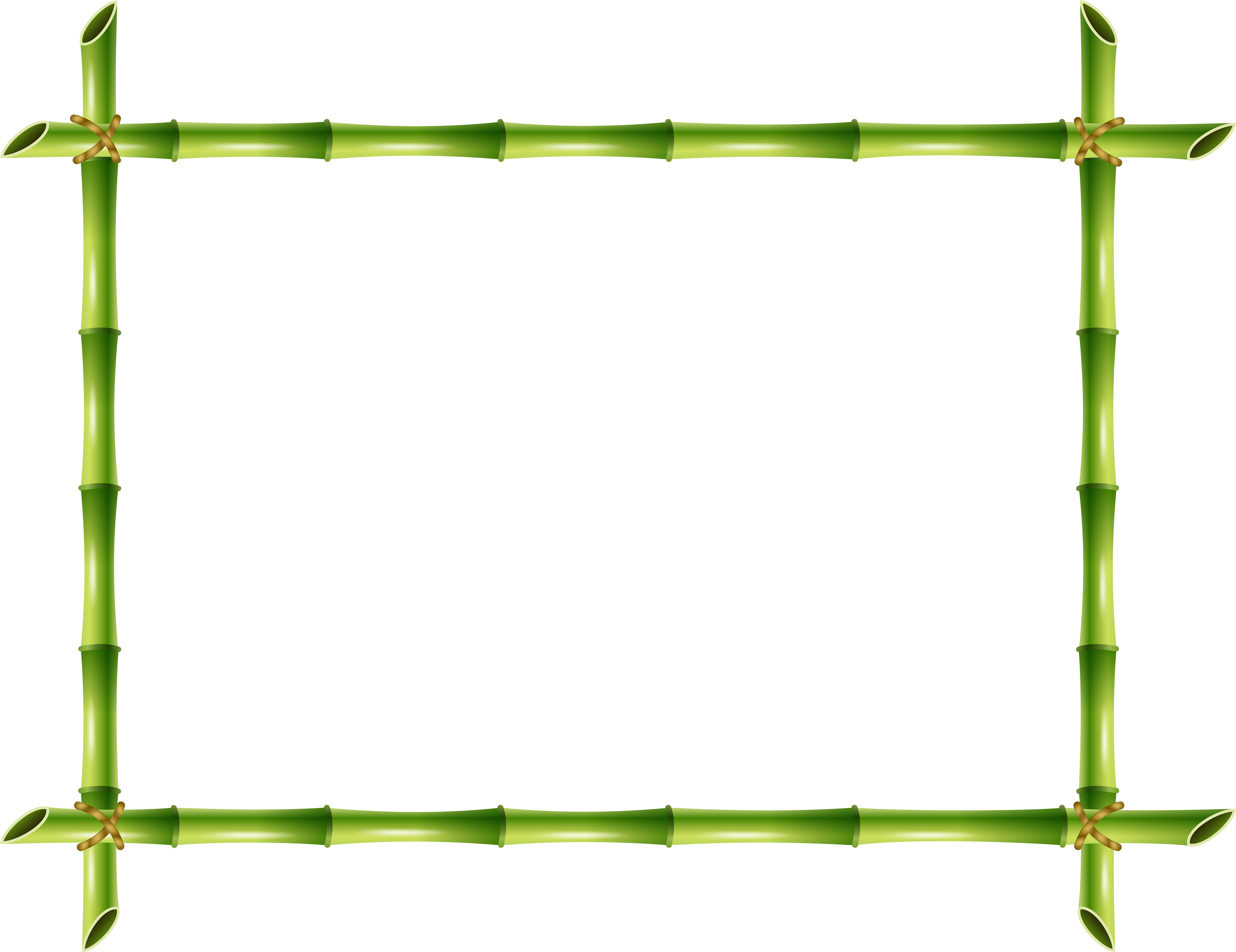 Bamboo Png (8000x6163), Png Download