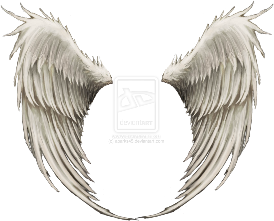 Angel Wings Png - Dark Angel (998x801), Png Download