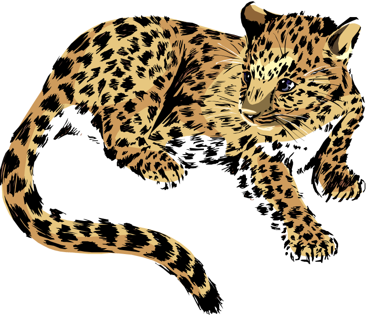 Jaguar - Jaguar Clipart Png (750x646), Png Download