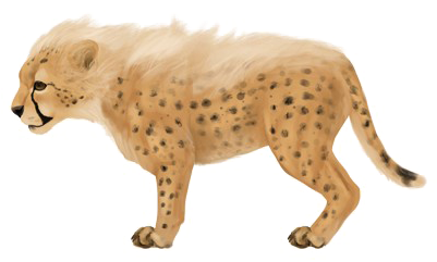 Baby Jaguar Png Image - Baby Jaguar Png (600x400), Png Download