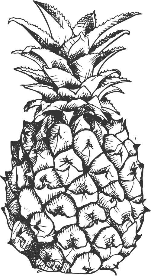 Svg Library Library Pinapple Drawing Sketch - Frutas A Blanco Y Negro (500x914), Png Download