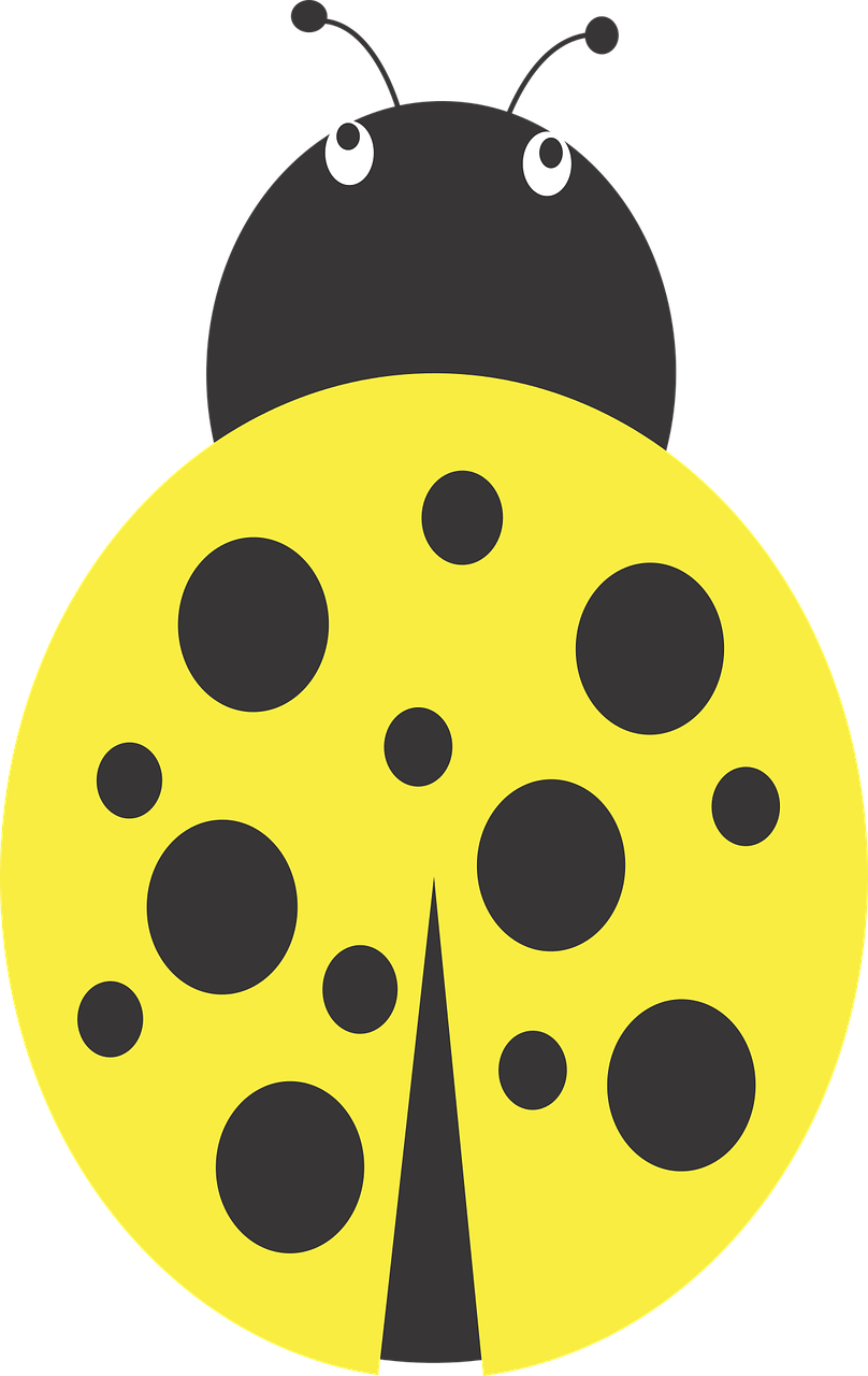 Yellow Bug For Free Download On - Beetle (303x480), Png Download