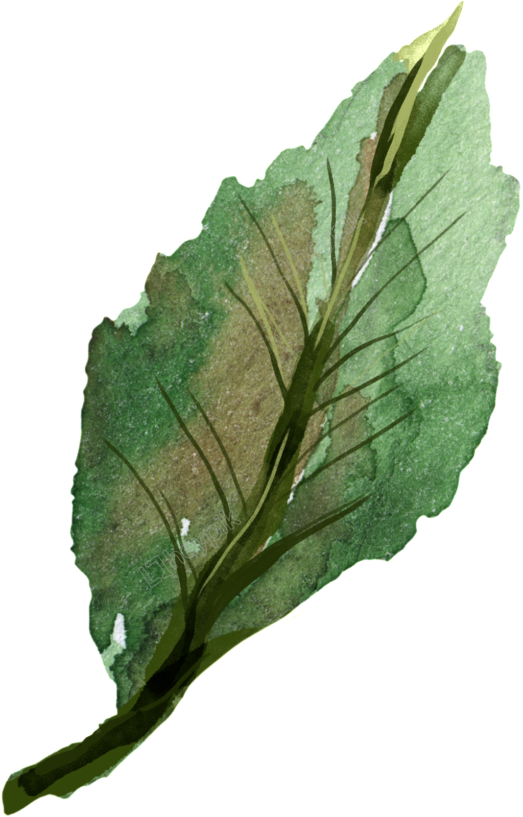 Hand Painted Watercolor Leaf Decoration Free Download - Watercolor Painting (1024x1600), Png Download