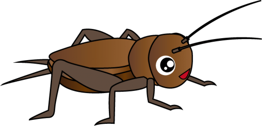 Free Png Cricket Insect Clipart Png Images Transparent - Cricket Insect Clipart (851x408), Png Download