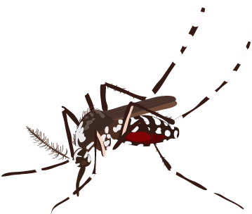201410 Mosquito - Mosquito Png (400x400), Png Download