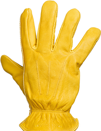 Gloves<br />by Specialty - Leather (364x443), Png Download