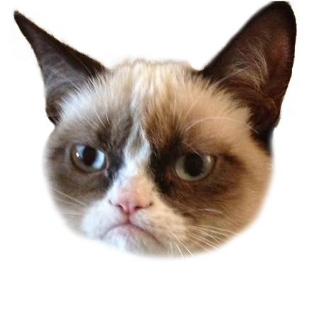 Free Range Donuts - Cry Me A River Funny (500x616), Png Download