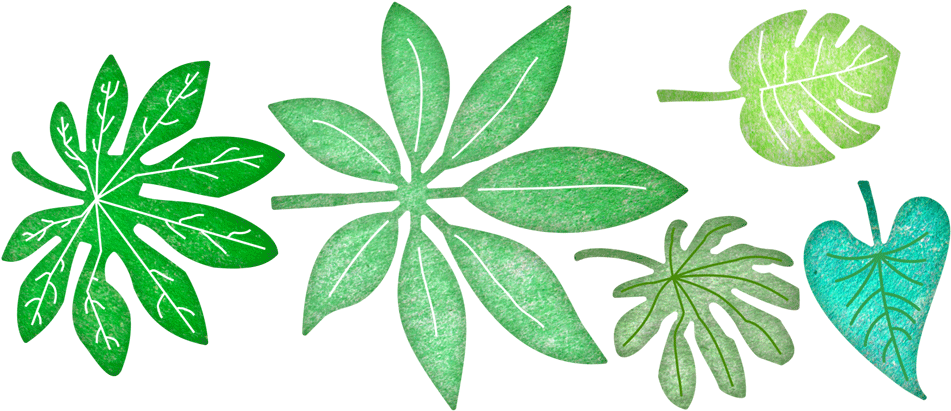 Tropical Leaves - Die Tropical Leaves (1000x1000), Png Download