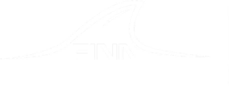 Finn Png (1000x360), Png Download