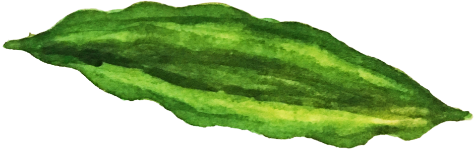 Prev / Next (1000x361), Png Download