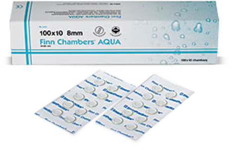 Finn Chambers Aqua - Paper (476x411), Png Download