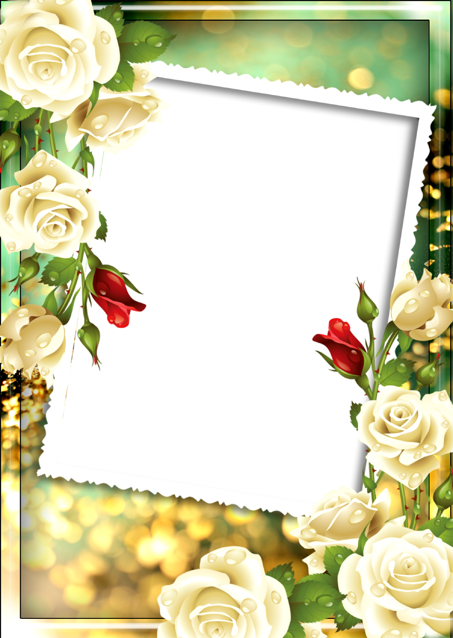 Png Floral Photo Frame (897x1264), Png Download
