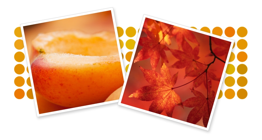 Orange Spray Paint - Paint (891x477), Png Download