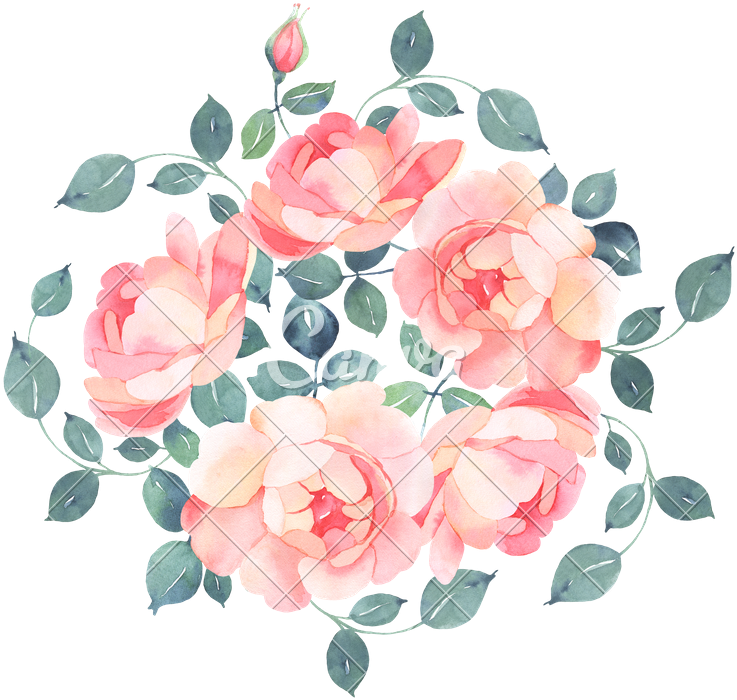 Watercolor Bouquet Png - Flower Bouquet (800x800), Png Download