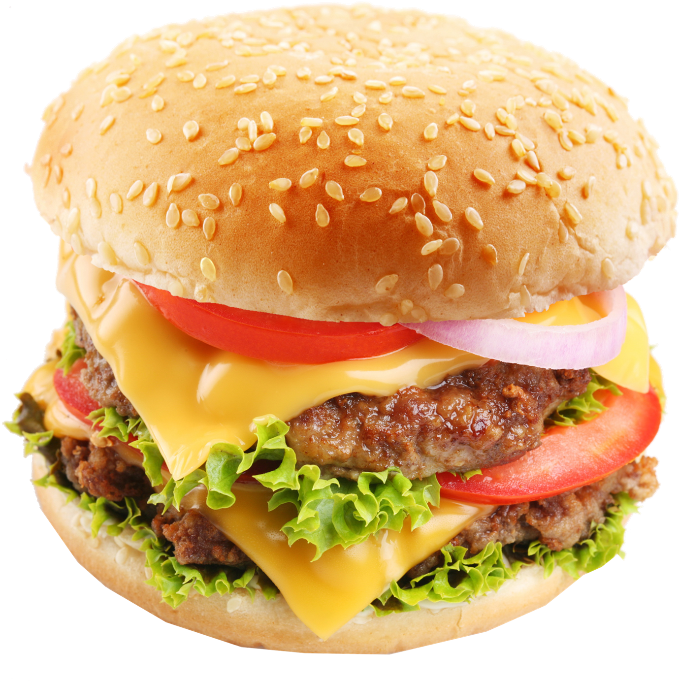 Cheeseburger Png Royalty-free Image - We Pay Your Sales Tax 3d Cheese Hamburger Cushion Pillow (1400x1409), Png Download