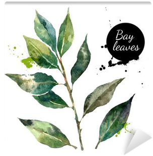 Kitchen Herbs And Spices Banner - Watercolor Painting (400x400), Png Download