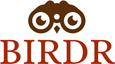 Behance (404x316), Png Download