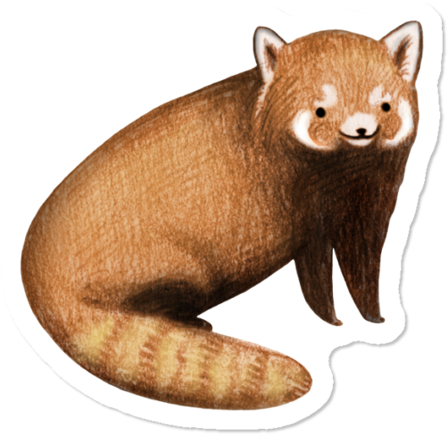 Men's - North American River Otter (650x650), Png Download