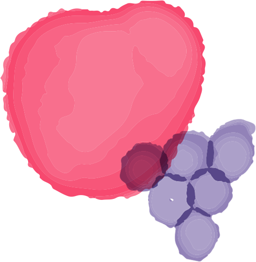 Nutrition (600x600), Png Download
