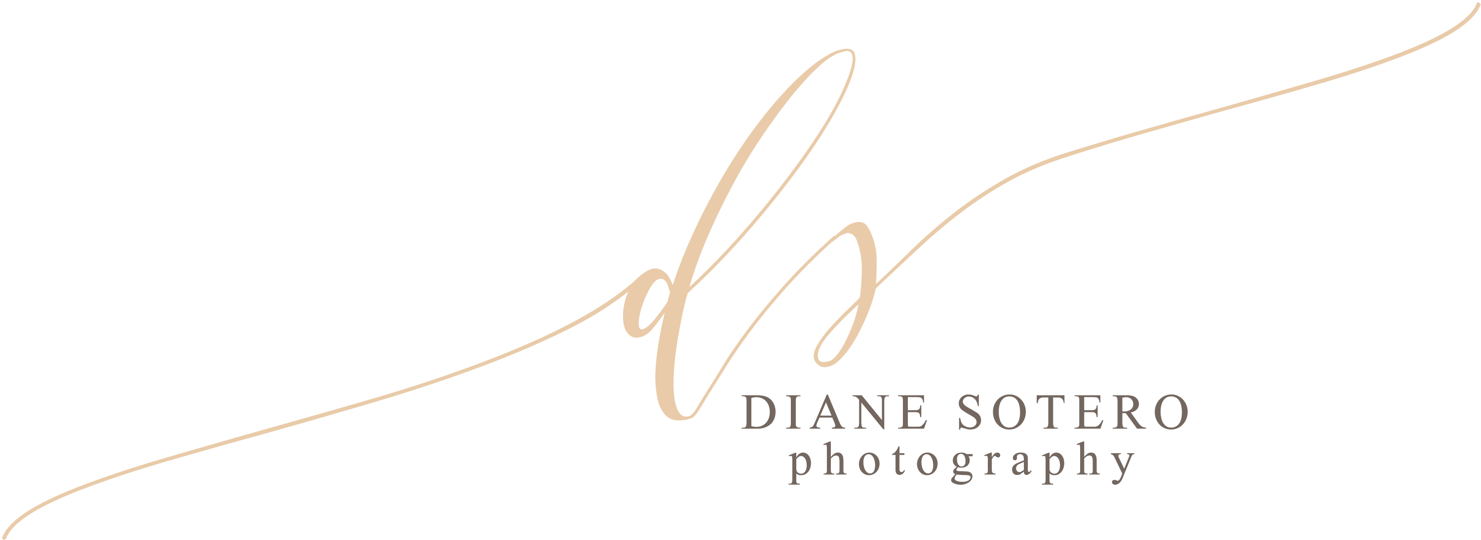 Diane Sotero - Calligraphy (3000x1095), Png Download