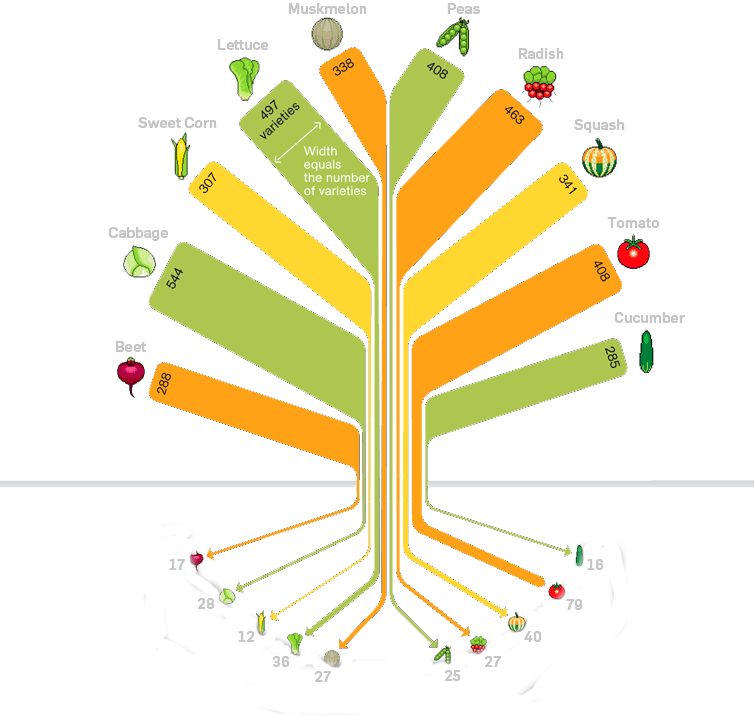 Food Variety Tree 754 - Crop Diversity In Organic Farming (754x717), Png Download