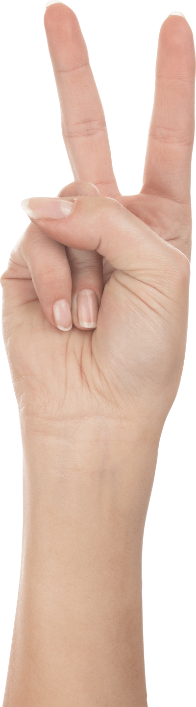 Hands Png Hand Image - 2 Finger Hand Png (400x1443), Png Download